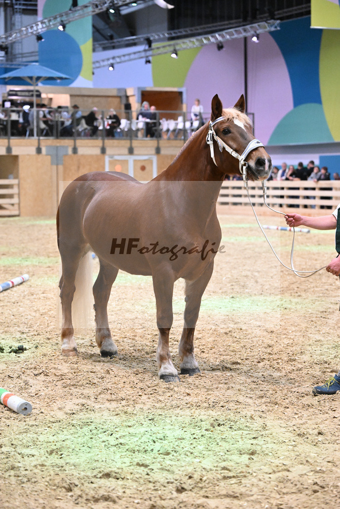 Kat-Nr. 21 Heleni v. Sultan_Hoeck_1260307 | hf-fotografie - Realisiert mit Pictrs.com