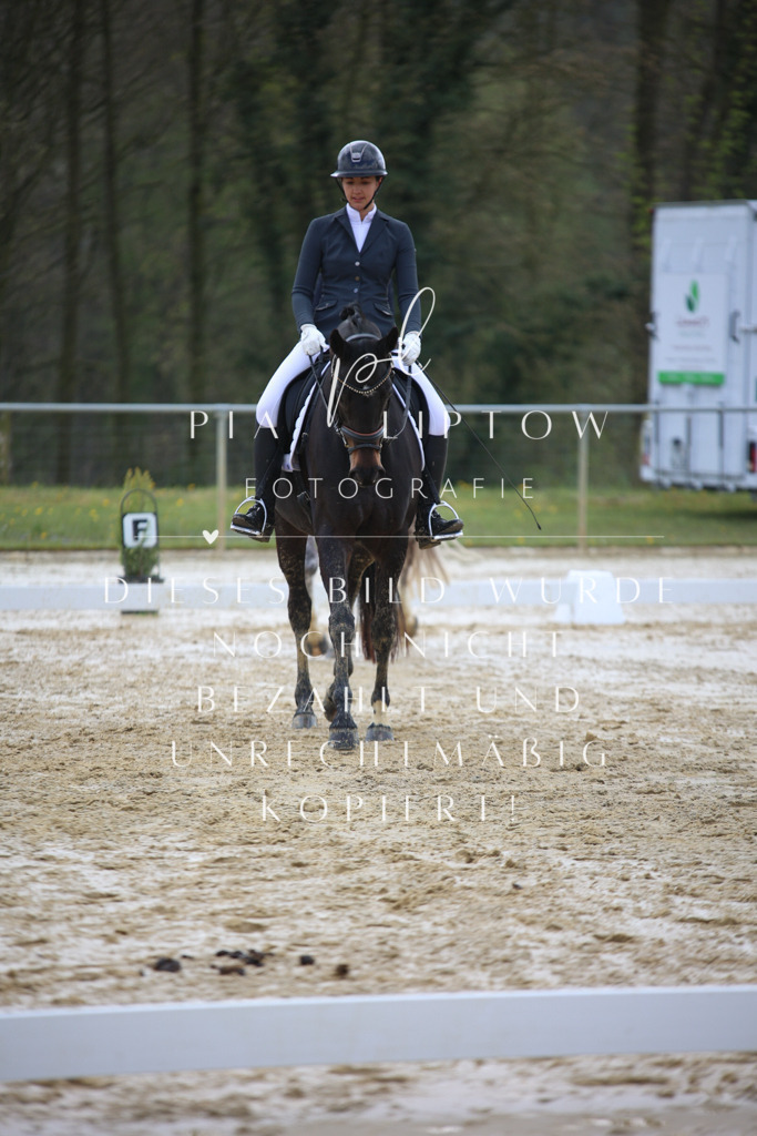 IMGT2829 | pl-fotografie