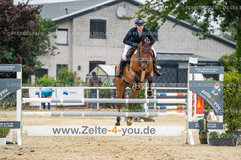 DSC00880 | Pferdegrafie