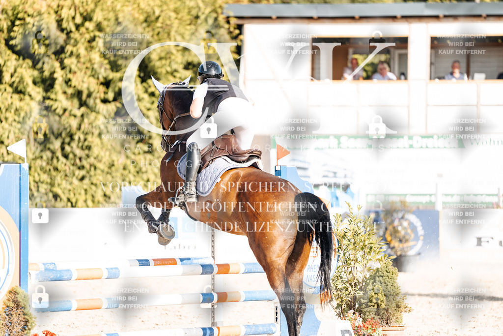 CK909623 | Turnierfotografie Pferdefotografie Trier Rheinland-Pfalz Pferdesport Reitsport Tierfotografie Sportfotografie Pferdevideo Pferdevideografie Equestrianvideography equestrianphotography  - Realisiert mit Pictrs.com