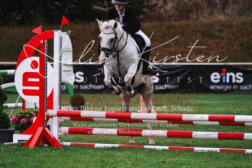 DSC_6179 | Pferde- und Turnierfotografie in Westsachsen. Pferdeportraits, Auftragszeichnungen und intuitive Kunst.