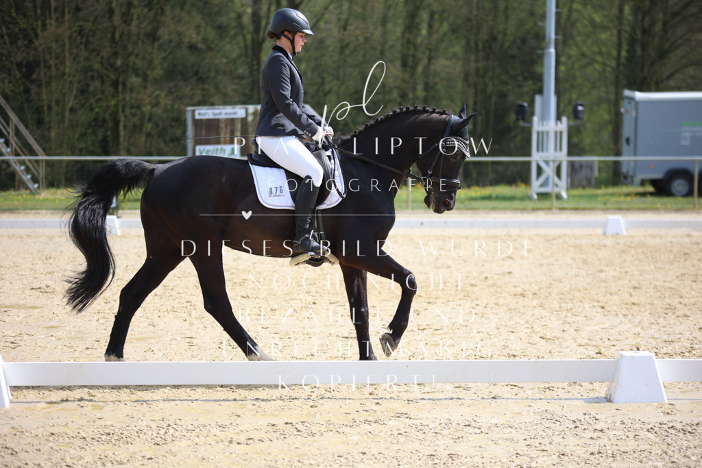 IMGT4734 | pl-fotografie