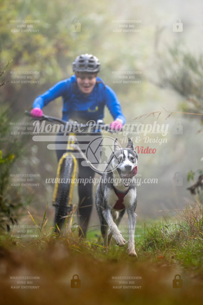 MompixPhotography_20TSB_E4_DS1-29 | PayLife