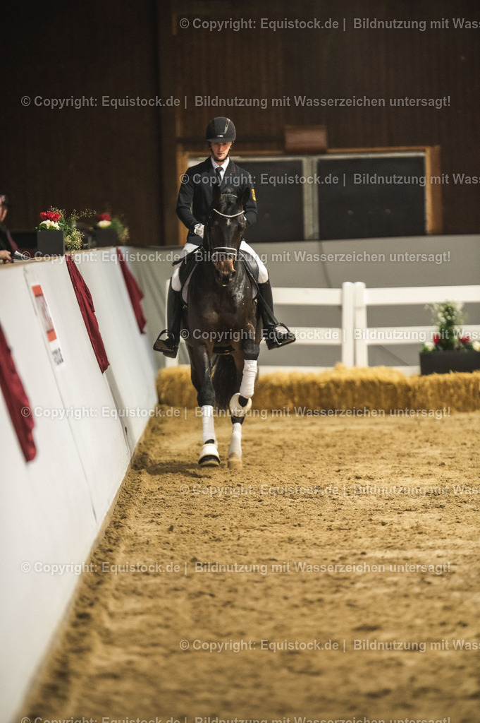 20240302_Hengstvorstellung_Marbach_TOMsPiC_0405 | equistock