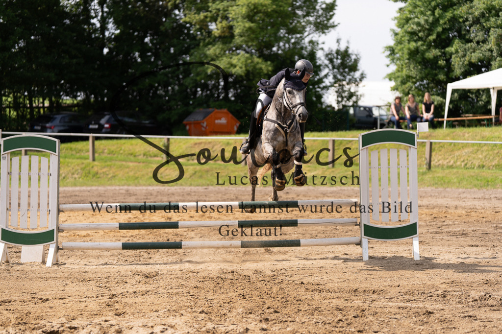 A7507437 | Turnier/Reitfotograf