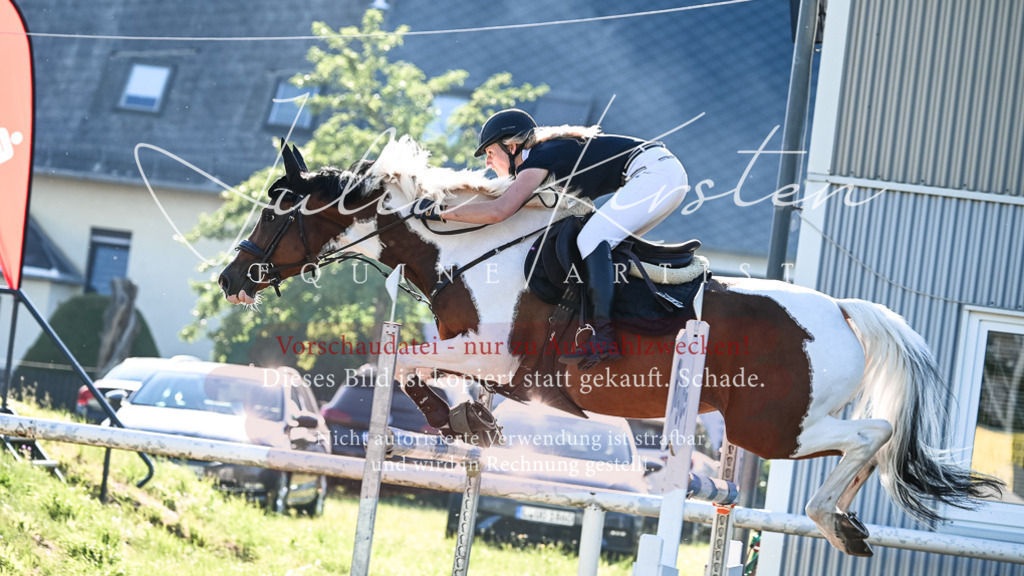 DSC_2863 | Pferde- und Turnierfotografie in Westsachsen. Pferdeportraits, Auftragszeichnungen und intuitive Kunst.