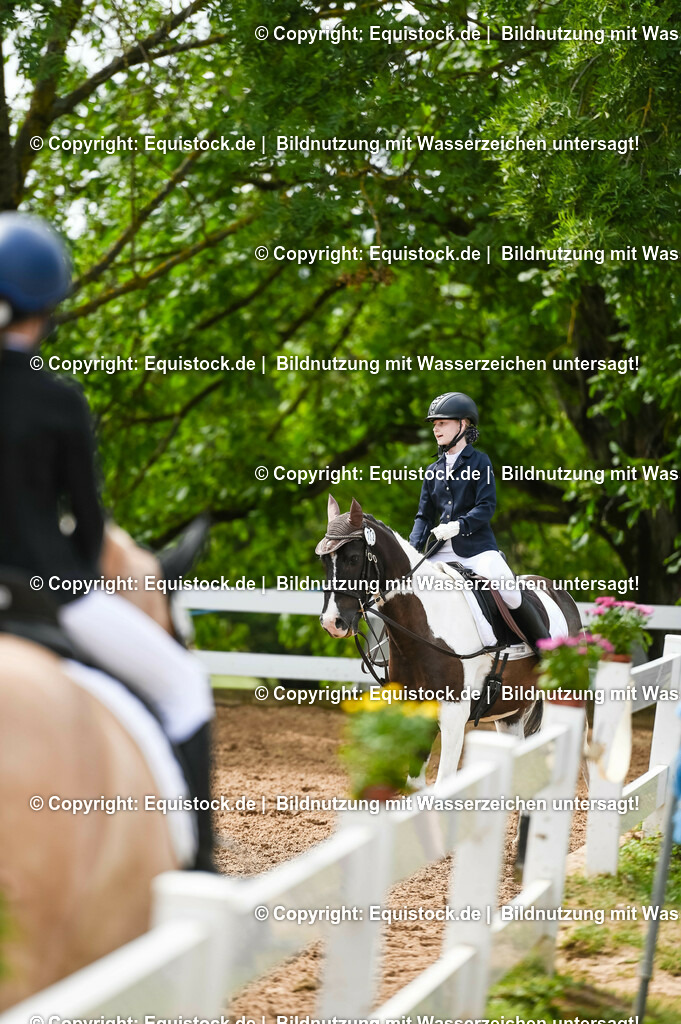 20230716_10-2_Reiter-WB Schritt - Trab - Galopp_0160 | equistock