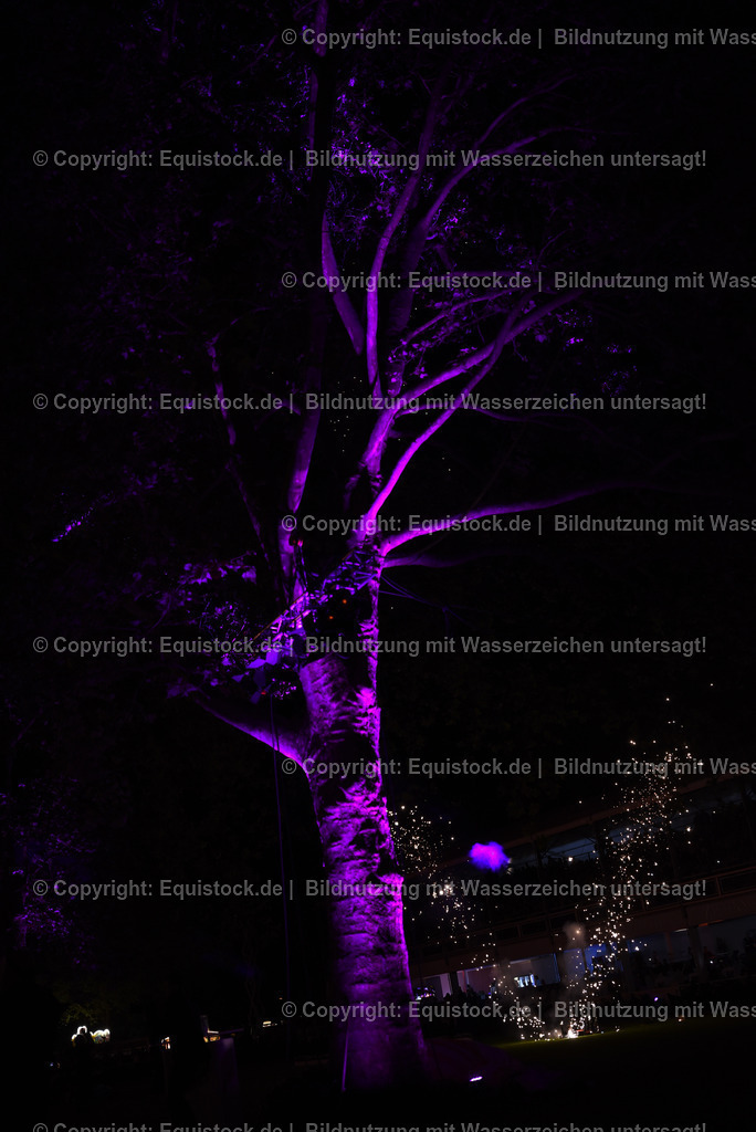 20230526_Pferdenacht_1593 | equistock