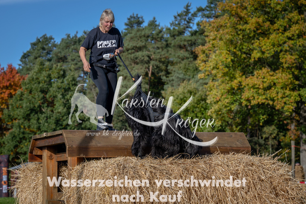 1042_ZZ91290 | kk-dogfotos