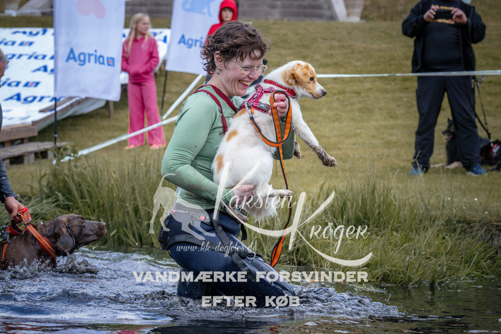 _ZZ913700913 | kk-dogfotos