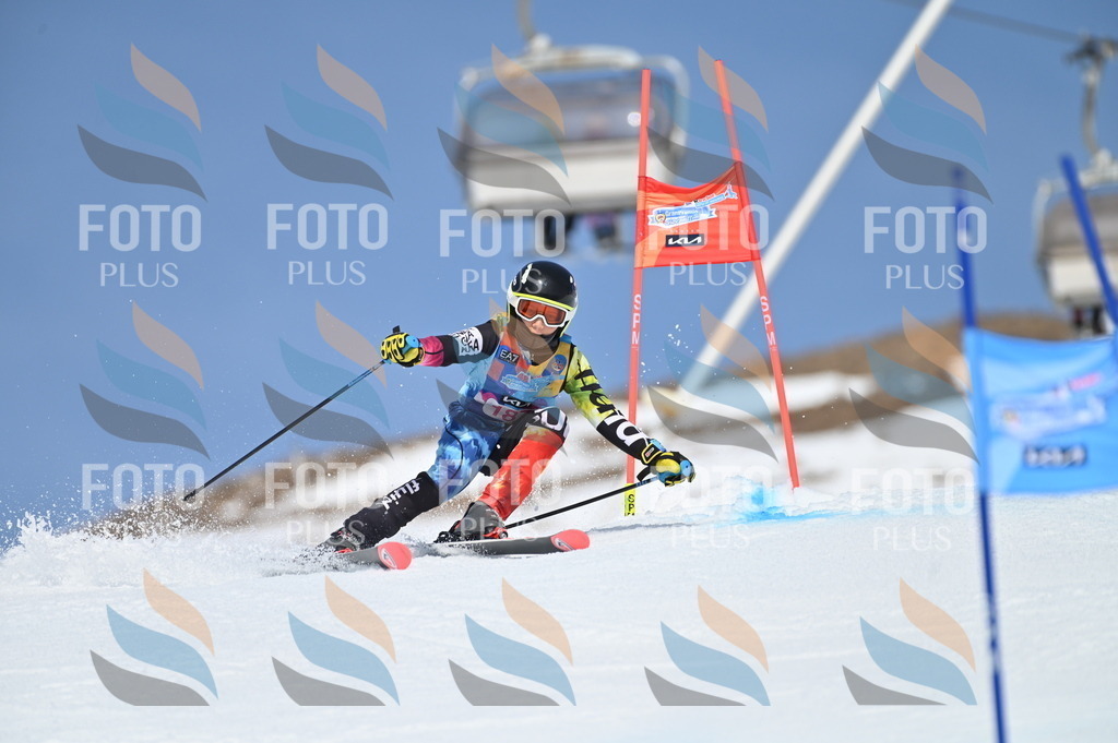 BGV_0761 | holidayphoto