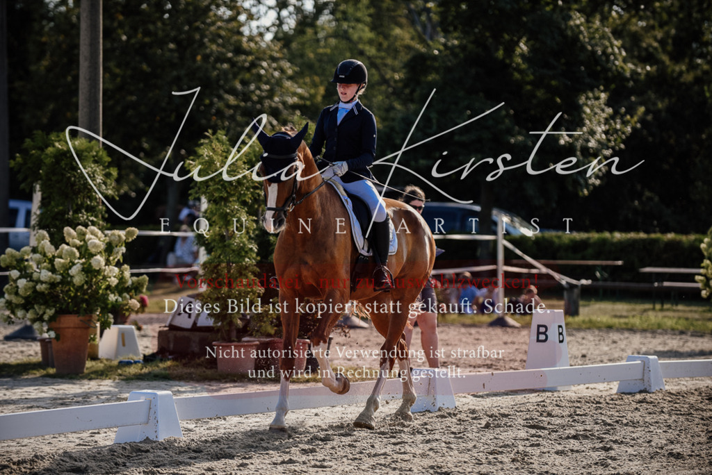 DSC_0529 | Pferde- und Turnierfotografie in Westsachsen. Pferdeportraits, Auftragszeichnungen und intuitive Kunst.