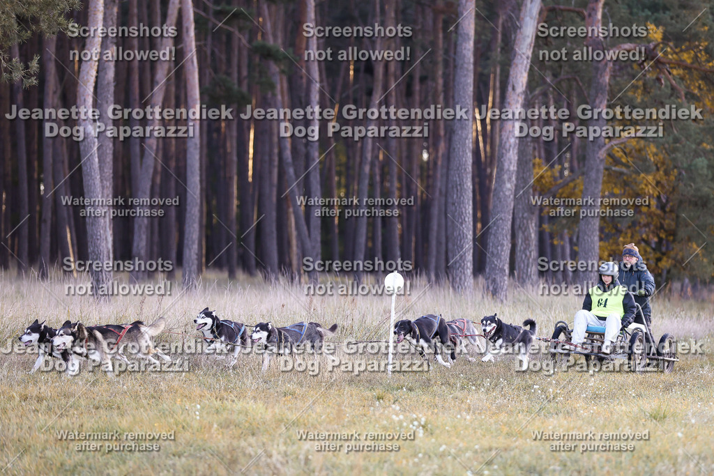 Dog Paparazzi - Elsholz 25 -3 | Dog Paparazzi Jeanette Grottendiek Fotografie & Videografie - Realisiert mit Pictrs.com