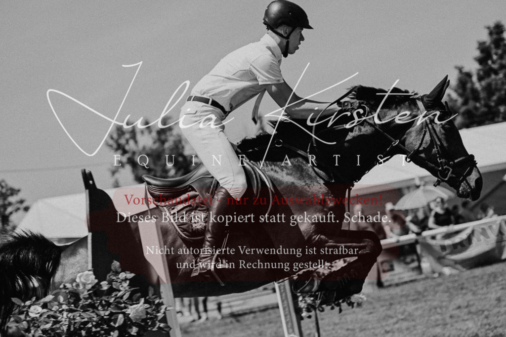 DSC_0375 | Pferde- und Turnierfotografie in Westsachsen. Pferdeportraits, Auftragszeichnungen und intuitive Kunst.