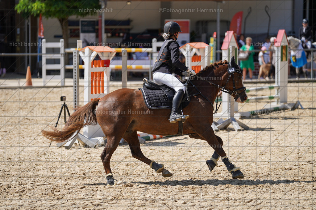 20240824-FAH08169 | Thierhaupten 2024, Bayerisches Landesponyturnier, Turnierbilder, Ponybilder, Turnierfotografen Bayern, Fotoagentur Herrmann
