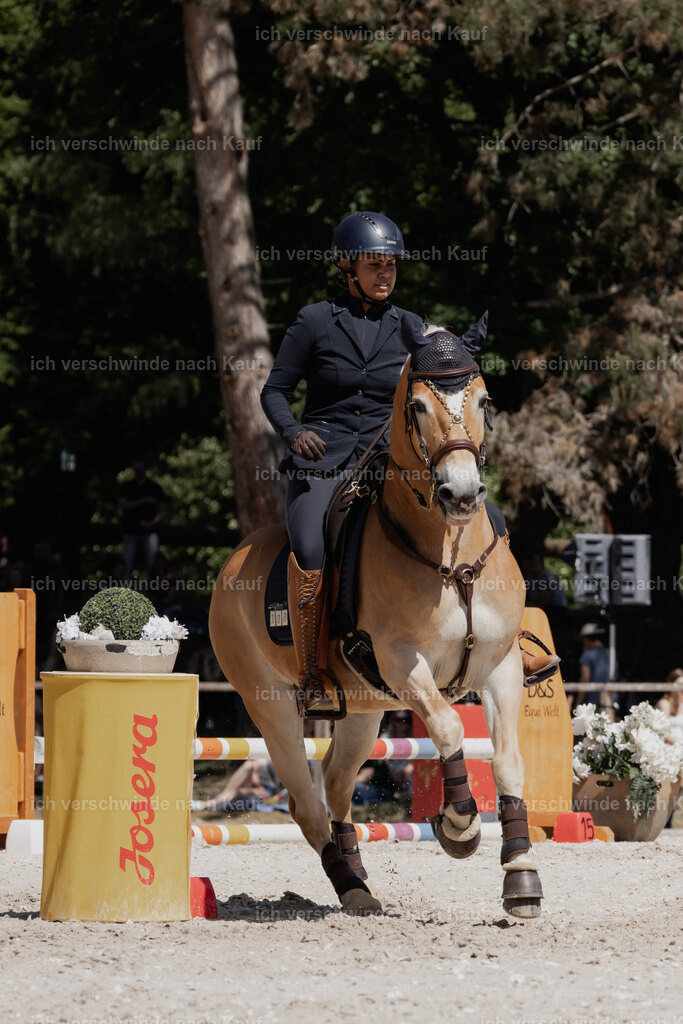 WE_SP_Stoib_308_PI2025_1611 | Pferd International München 2025