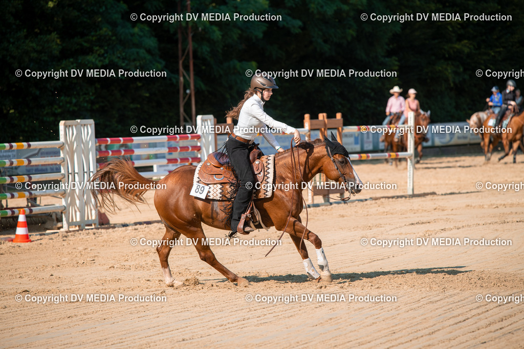 ZS2_8837 | dv-media-shop - Realisiert mit Pictrs.com