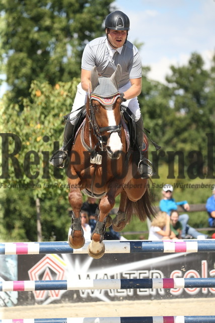 Killingen_2022_Prfg.Nr.19_Springenpferdeprüfung_Kl.M_Frank Wieland_Catniss 12 (2) | Alle Fotos der Reiterjournal Fotografin Doris Matthaes im Reiterjournal Online-Fotoshop. - Realisiert mit Pictrs.com