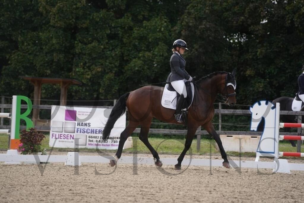 rveinoedsamstag (1793) | d.tail Visions - Shop - Realisiert mit Pictrs.com