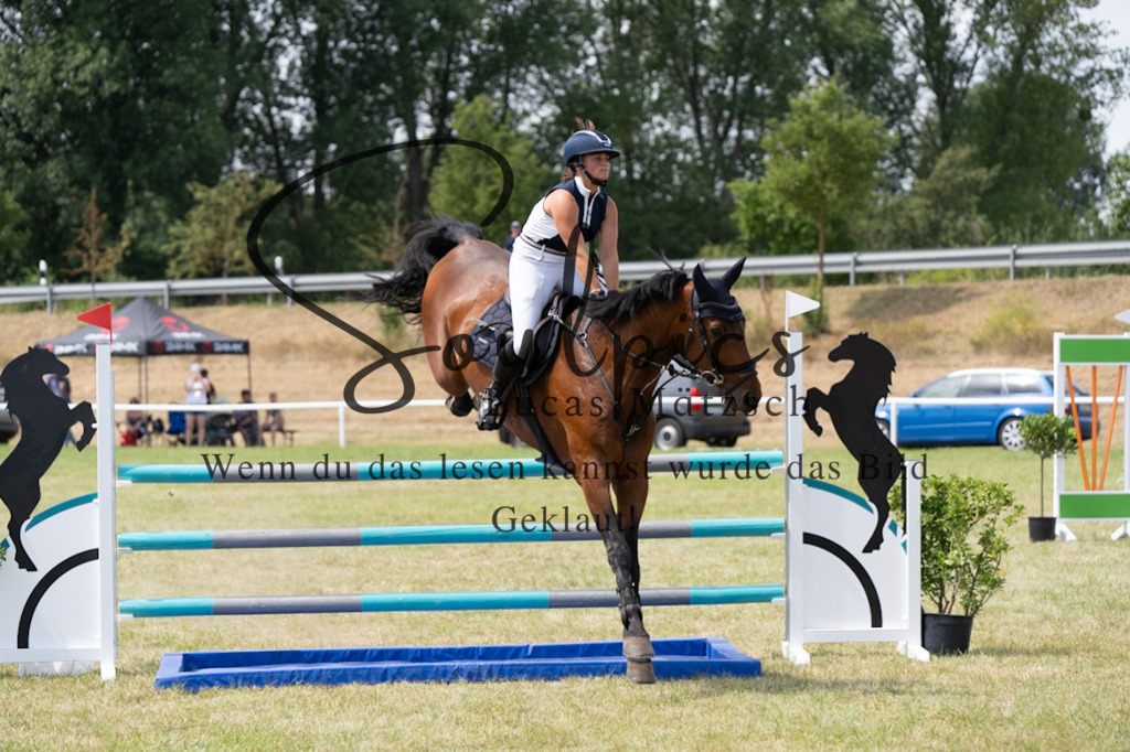 A7V01918 | Pferdefotograf