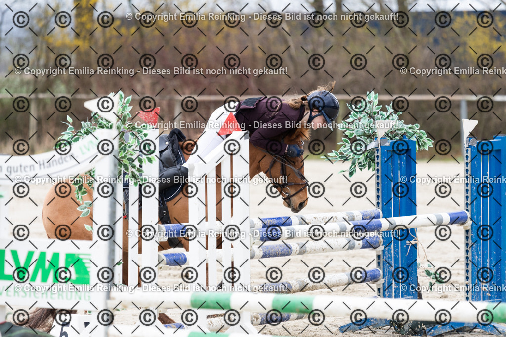 CL5A4155 | Emilia Reinking Fotografie - Realisiert mit Pictrs.com