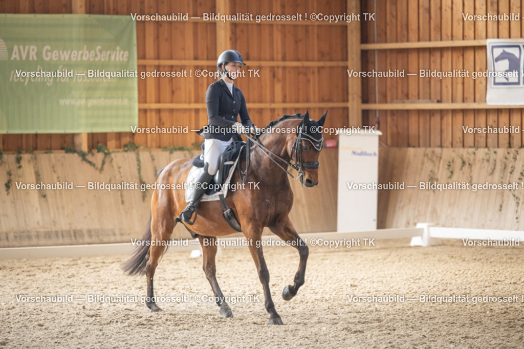 _D5A5988 | Emotionale Pferde- & People-Fotografie rund um Heidelberg, Leimen & Umgebung. Natürliche Fotos von Pferd, Mensch & Familie. Jetzt Termin sichern!