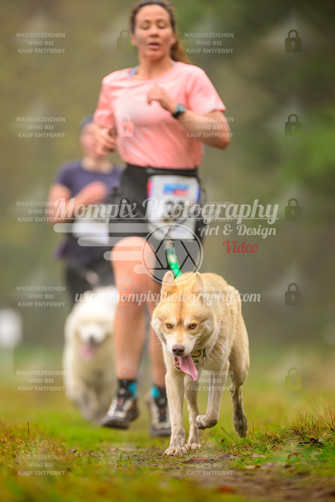 MompixPhotography_Bischwiller2025_Canicross-130 | mompixphotography