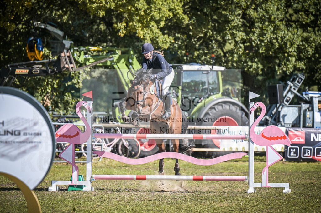 DOS_0054 | Entdecke hochwertige Reitturnierfotos von Foto Oger. Professionell, emotional und authentisch – jetzt Lieblingsmomente im Shop bestellen.Deutschlandweite Turnierfotografie. - Realisiert mit Pictrs.com