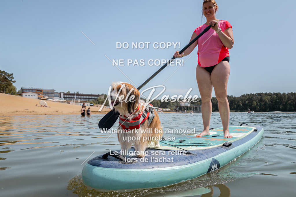 nelerasche_saSUP2_133 | nelerasche