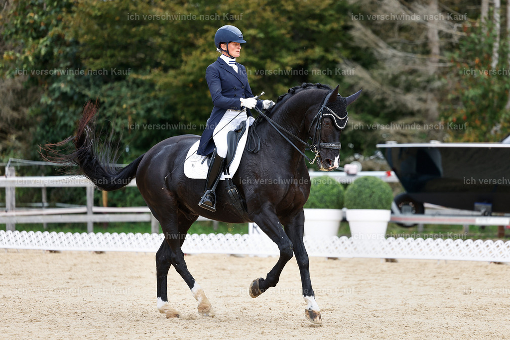 11-042-Dressur S___-StoibPH-1165 | working equitationturnier fotograf videograf stoibphotography marixx film working equitation deutschland reitsport turnierfotografie eventfotografie equestrian events
