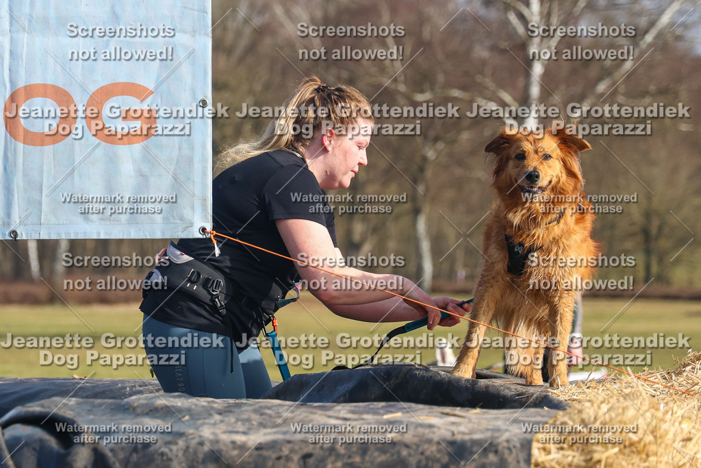 Dog Paparazzi - Strongdog North Mrz26-2732 | Dog Paparazzi Jeanette Grottendiek Fotografie & Videografie - Realisiert mit Pictrs.com