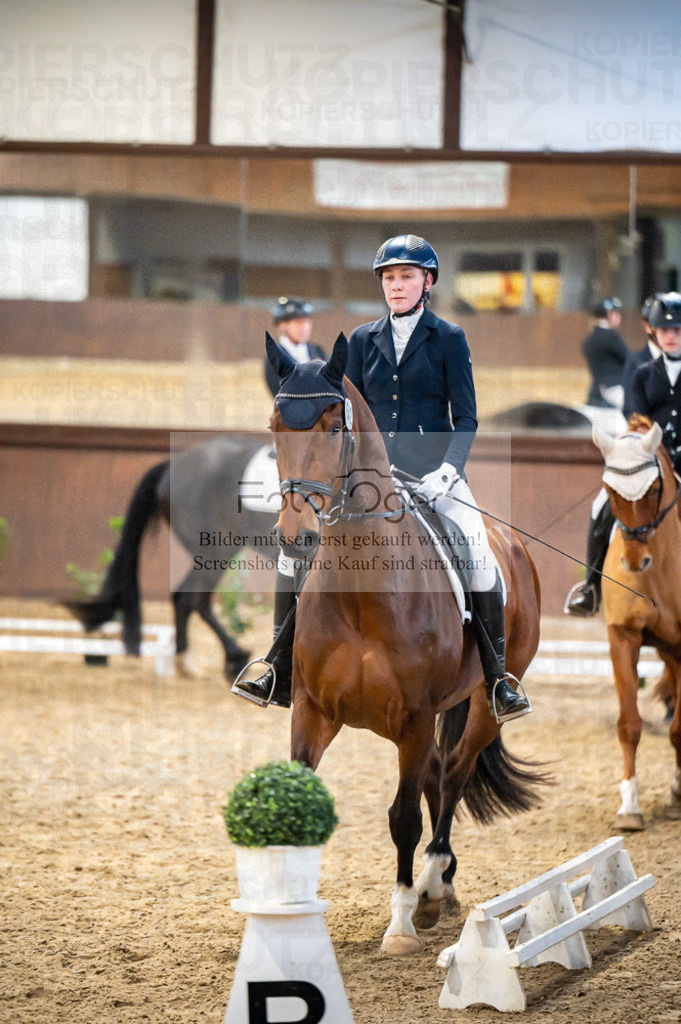 Hallenreittunier Voxtrup 2023 | Entdecke hochwertige Reitturnierfotos von Foto Oger. Professionell, emotional und authentisch – jetzt Lieblingsmomente im Shop bestellen.Deutschlandweite Turnierfotografie. - Realisiert mit Pictrs.com