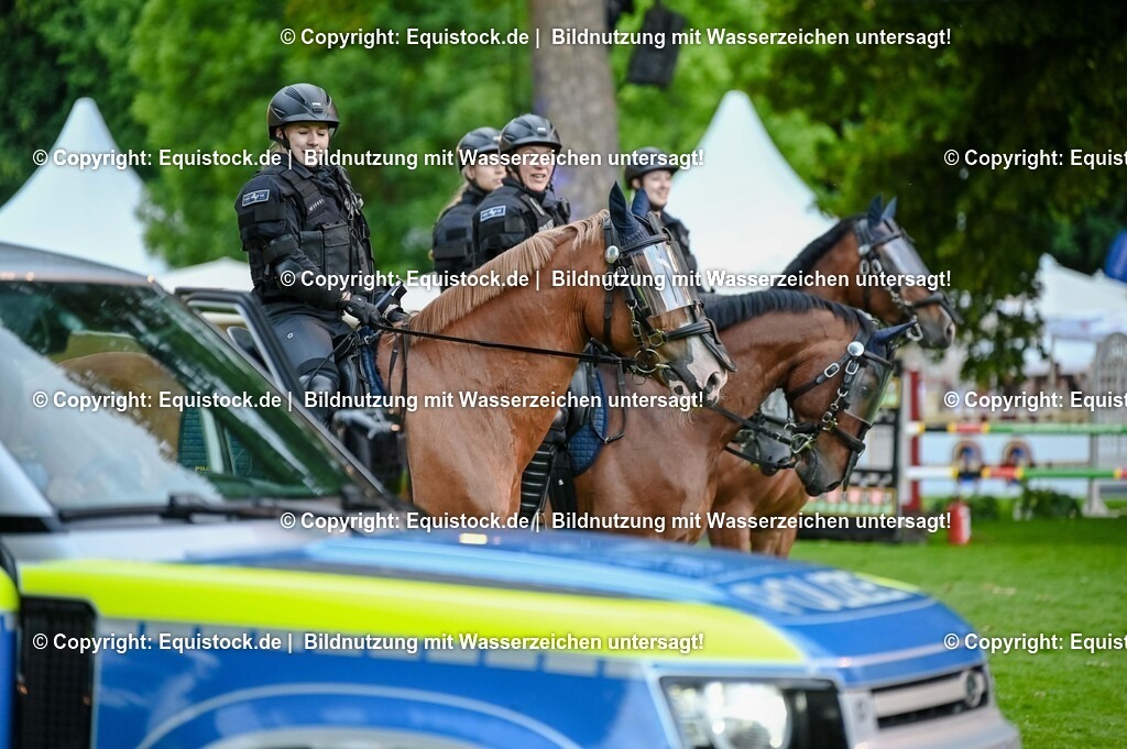 20250606_Lange-Pferdenacht_0707 | Foto: Thomas Hartig