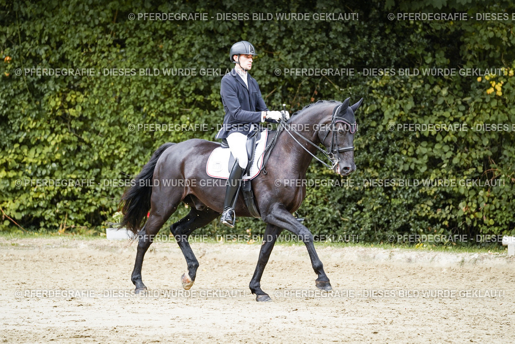 DSC05619 | Pferdegrafie