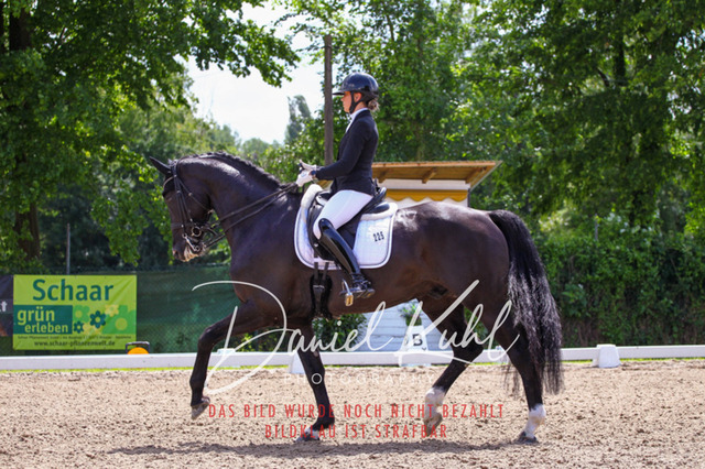 DKP41126 | Turnierfotos kaufen im Webshop von Daniel Kuhl Photography – entdecke professionelle Reitsportfotos aus Turnieren & Events. Hochwertige Turnierbilder online bestellen & sichern. Jetzt Fotos von Reitsportturnieren kaufen!