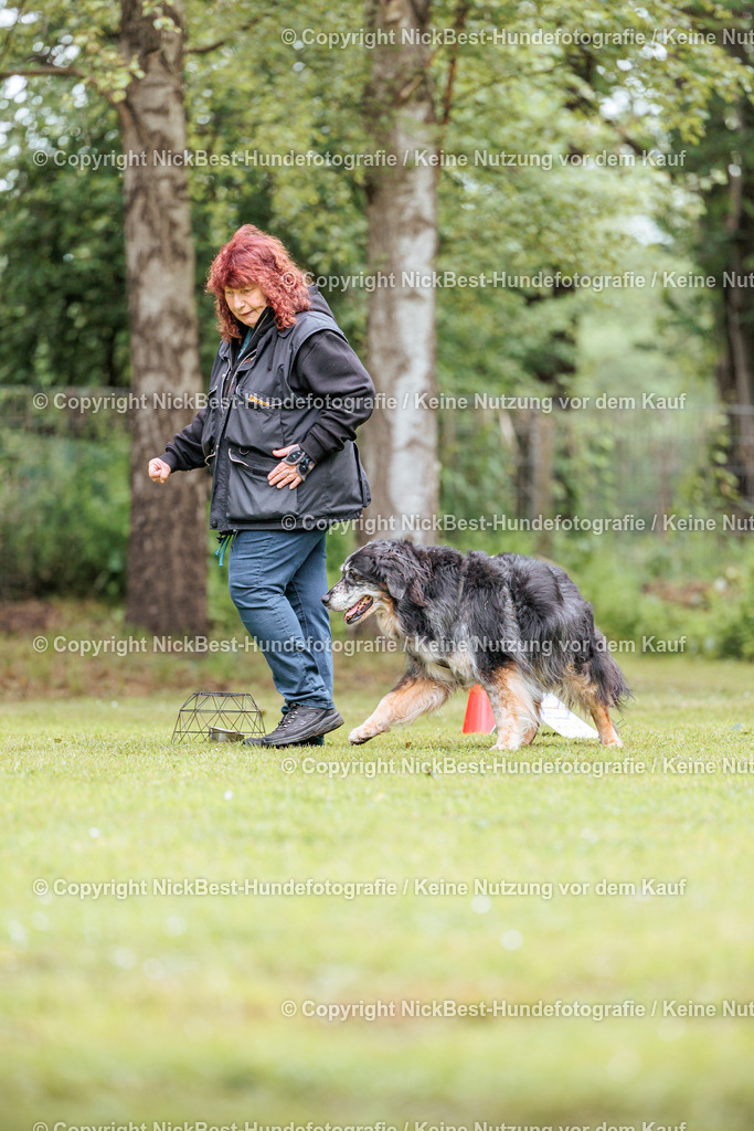 RO-Blumenthal-2026-Nickbest-Hundefotografie-1846 | Dein Hund! Dein Moment! Deine Erinnerungen! Hundefotografie in Bremen Blumenthal. Ich fange die besonderen Momente deines Vierbeiners ein – ob Indoor mit Blitzanlage oder in der freien Natur. Sicher dir dein Moment und dein Termin für eure Erinnerungen.