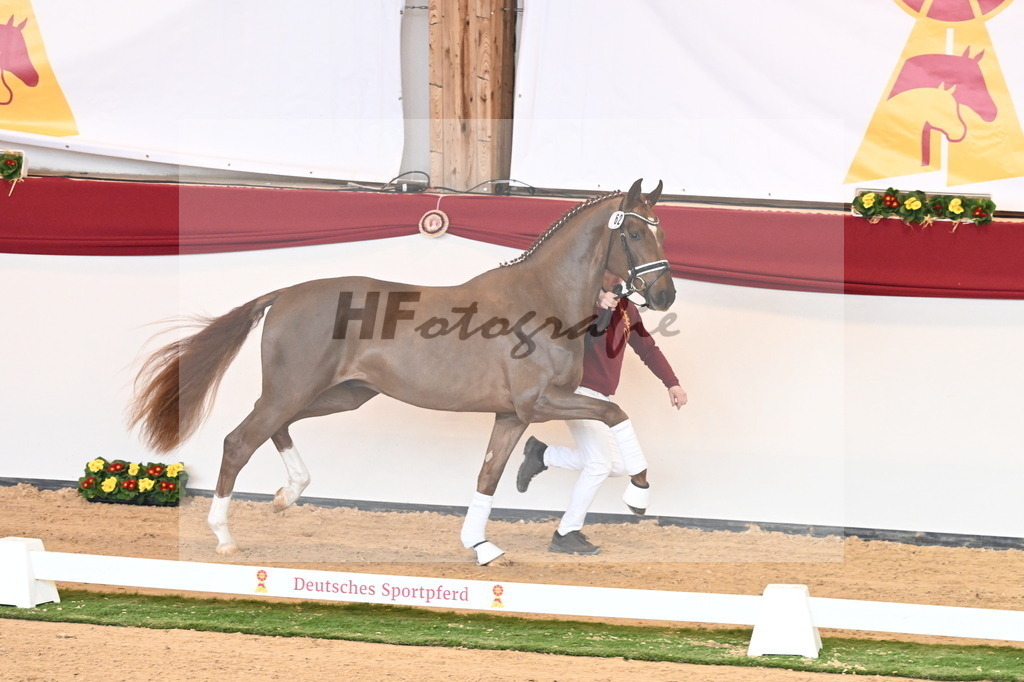 Kat.-Nr. 62 v. Shu Fu_Fischer_2240931 | hf-fotografie - Realisiert mit Pictrs.com