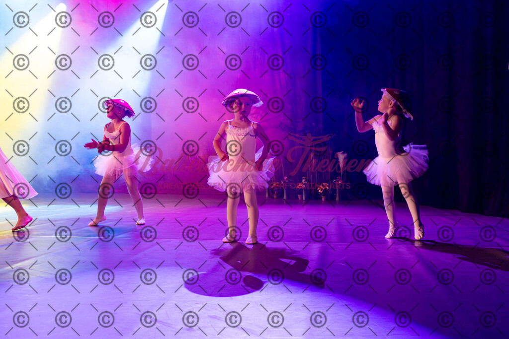 Ballettaufführung-54 | Bildershop Lem'n Entertainment - Realisiert mit Pictrs.com