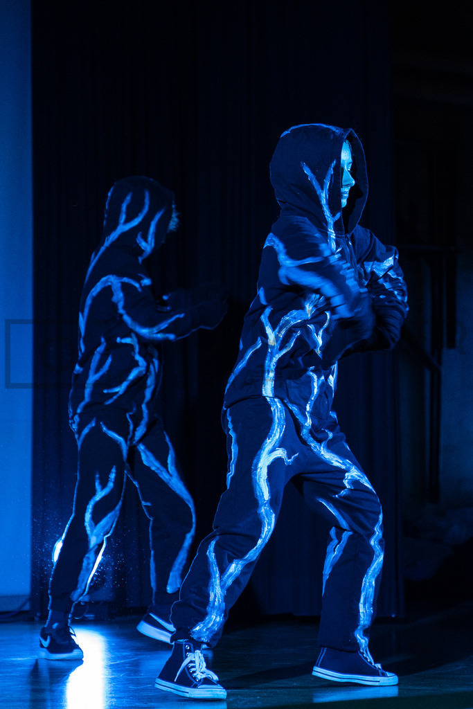 DSC05045 | Tinu Müller Fotografie- Bildershop - Realisiert mit Pictrs.com