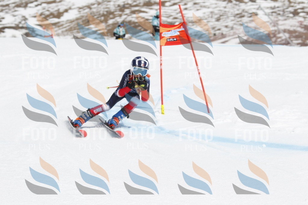 _U3G2139 | holidayphoto