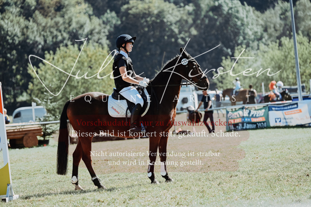 DSC_6650 | Pferde- und Turnierfotografie in Westsachsen. Pferdeportraits, Auftragszeichnungen und intuitive Kunst.