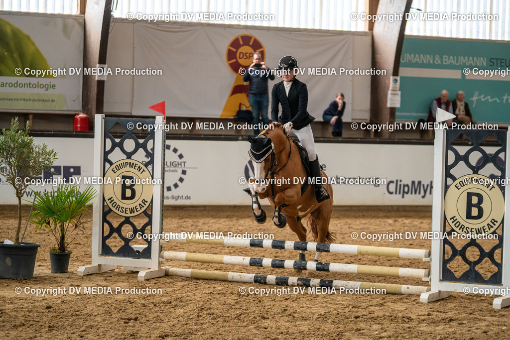 Kranichstein Tag 2-713 | dv-media-shop - Realisiert mit Pictrs.com