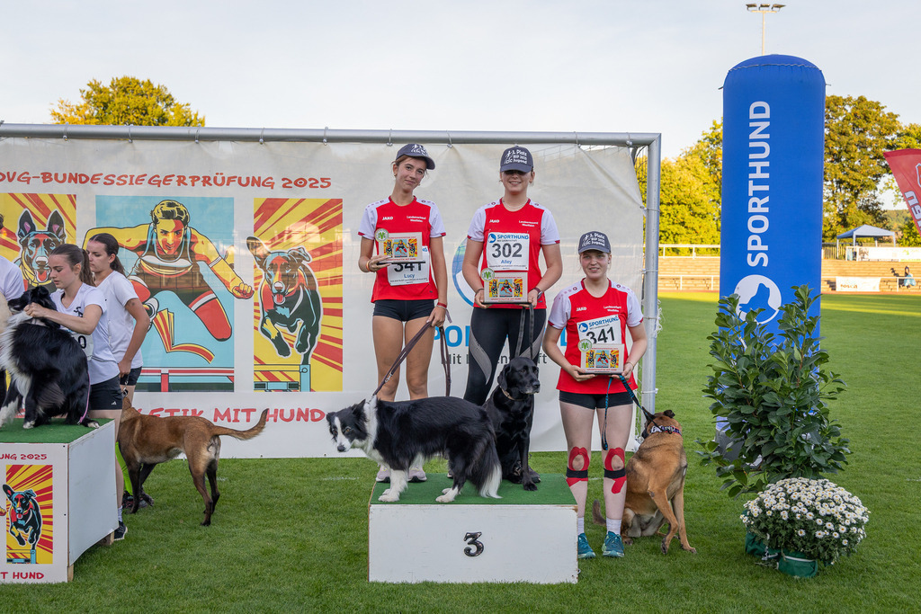 Pfotenfotografie_DV3A4863-2 | Hundefotografie, Tierfotograf, Pfotenfotografie, Fotoshooting Hund, Hunde Portrait, Hundesport, Hundeportraits, Heideshooting, Hunde, Sportfotograf, Hundefotograf, Turnierhundsport, THS,  - Realisiert mit Pictrs.com