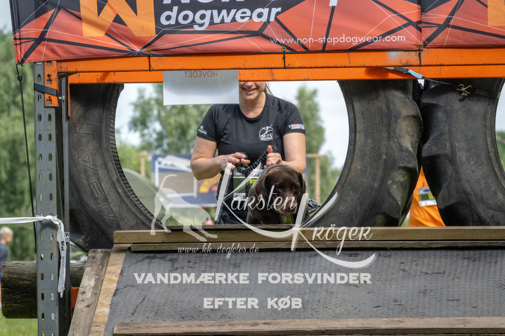 1136_ZZ92682 | kk-dogfotos