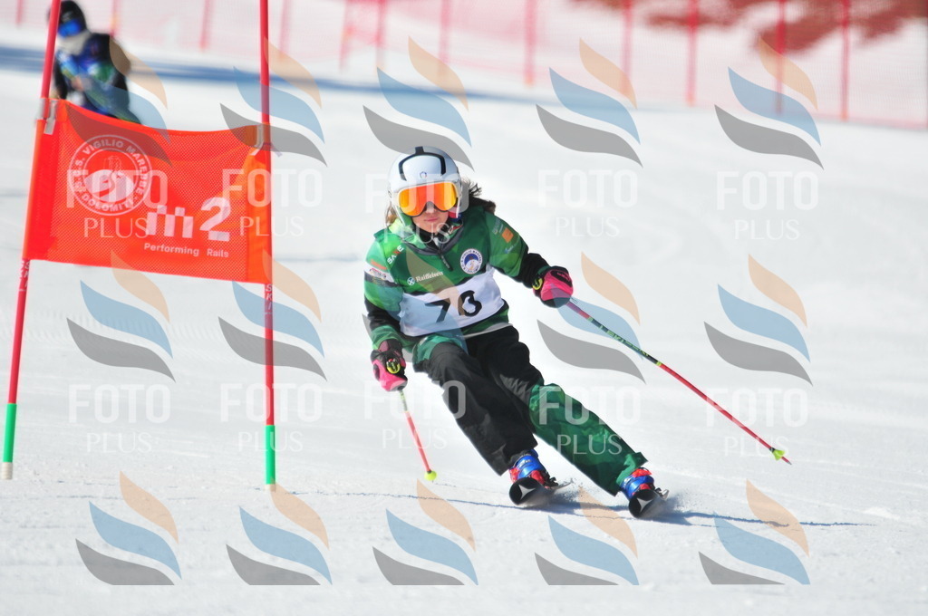 C3016 | holidayphoto