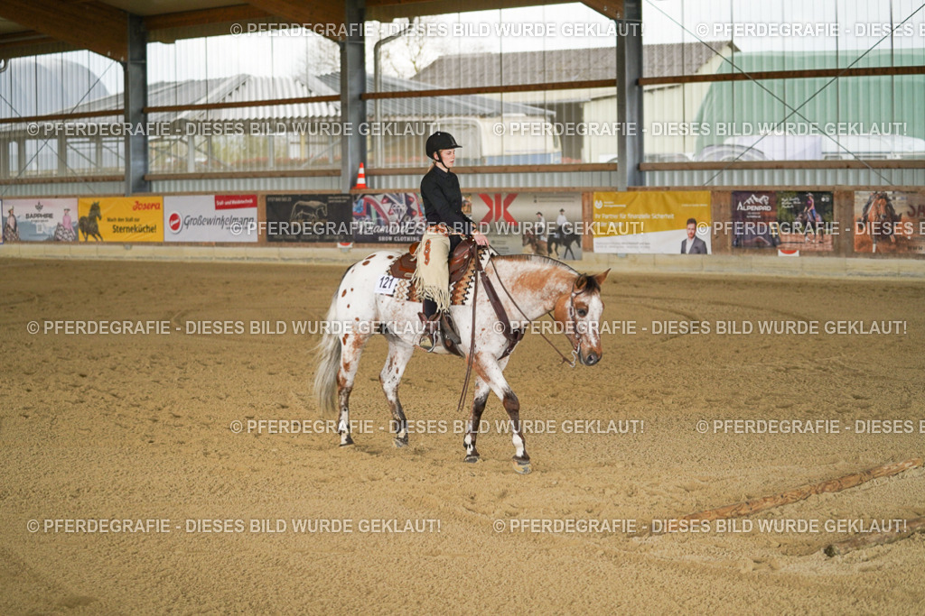 DSC06427 | Pferdegrafie