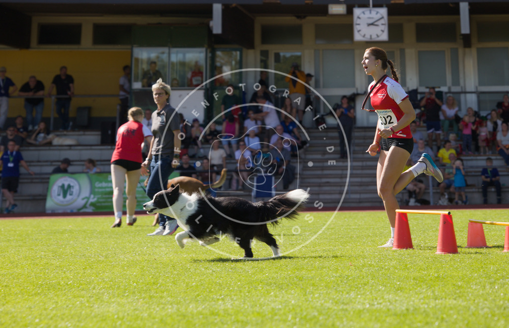 0L8A7274 | Hundefotografie, Tierfotograf, Pfotenfotografie, Fotoshooting Hund, Hunde Portrait, Hundesport, Hundeportraits, Heideshooting, Hunde, Sportfotograf, Hundefotograf, Turnierhundsport, THS,  - Realisiert mit Pictrs.com