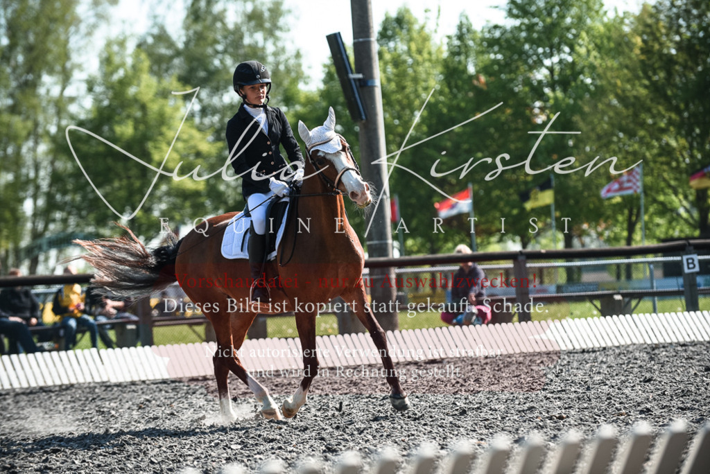 DSC_8718 | Pferde- und Turnierfotografie in Westsachsen. Pferdeportraits, Auftragszeichnungen und intuitive Kunst.