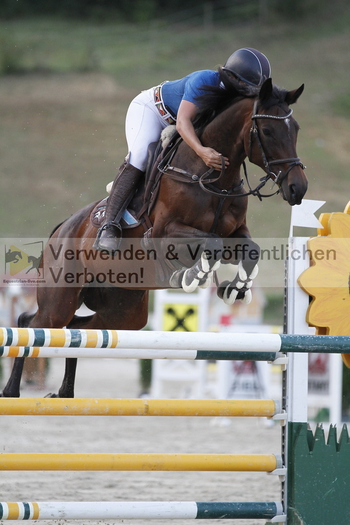 _MG_6672 | equestrian-live-com
