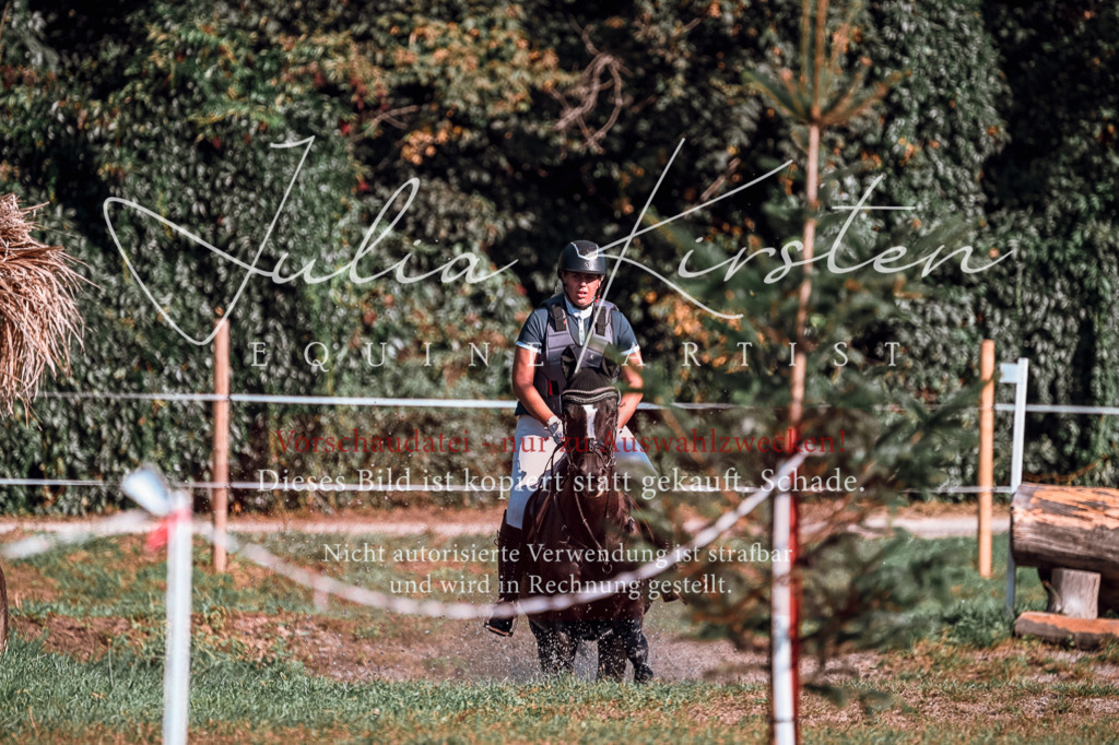 DSC_0597 | Pferde- und Turnierfotografie in Westsachsen. Pferdeportraits, Auftragszeichnungen und intuitive Kunst.